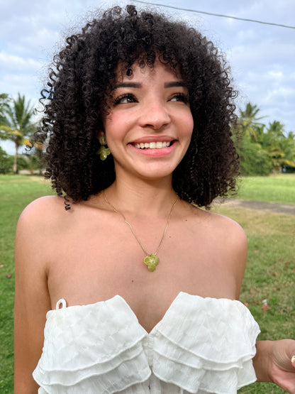 Mom’s Garden Bundle(Hortensia)