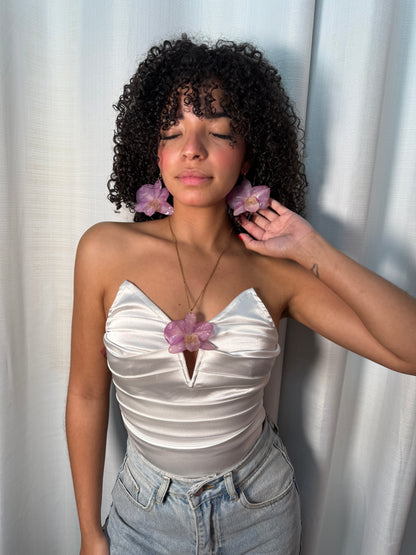 Big Dendrobium Orchid set