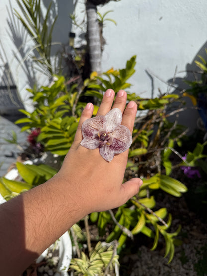 Phalaenopsis Orchid ring