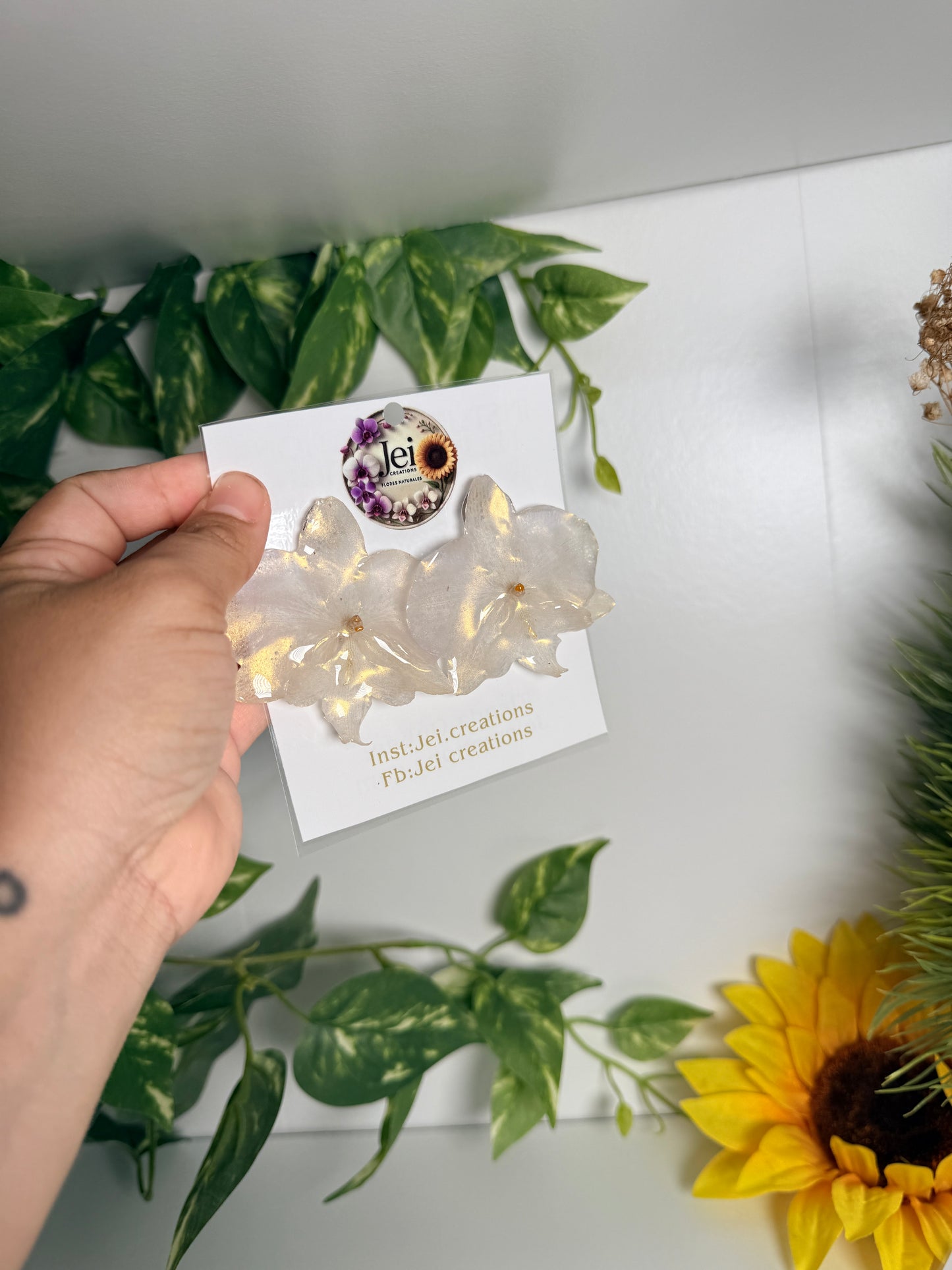 White Phalaenopsis stud