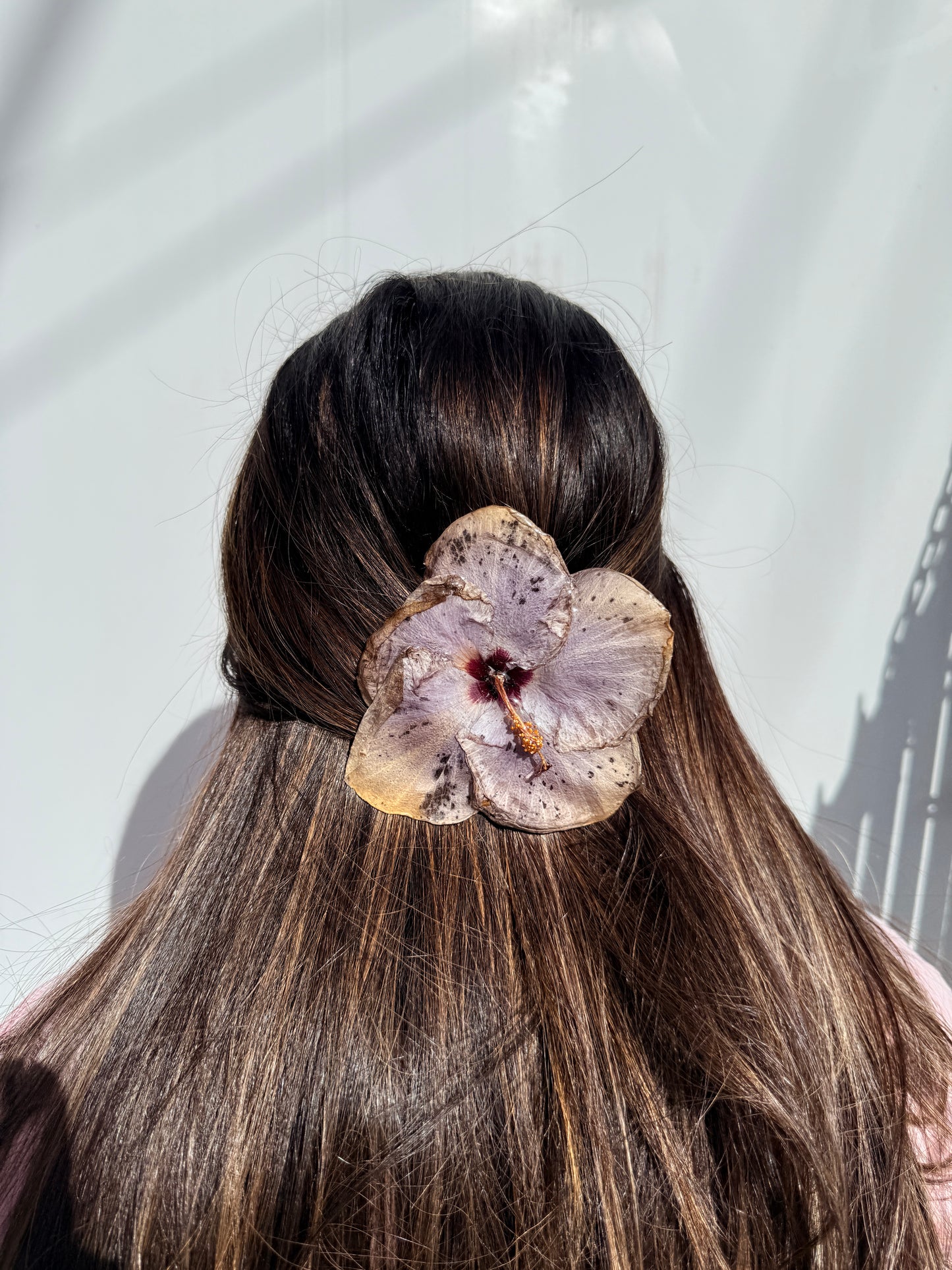 Exotic Hair Clip