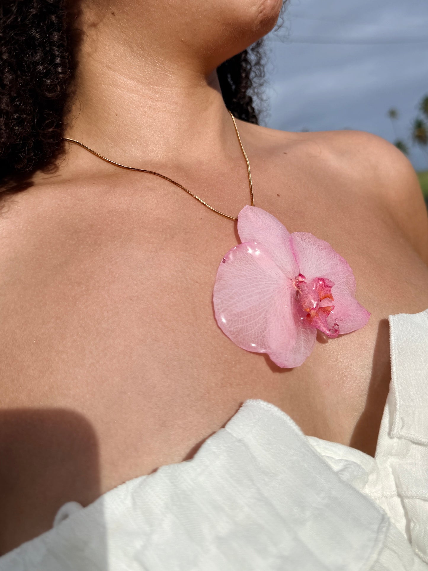 Mother’s Love Orchid Bundle