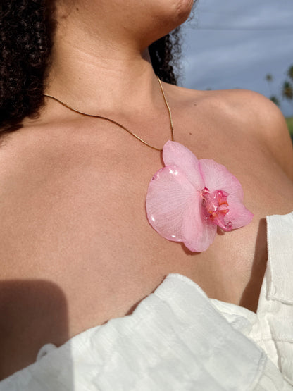 Mother’s Love Orchid Bundle