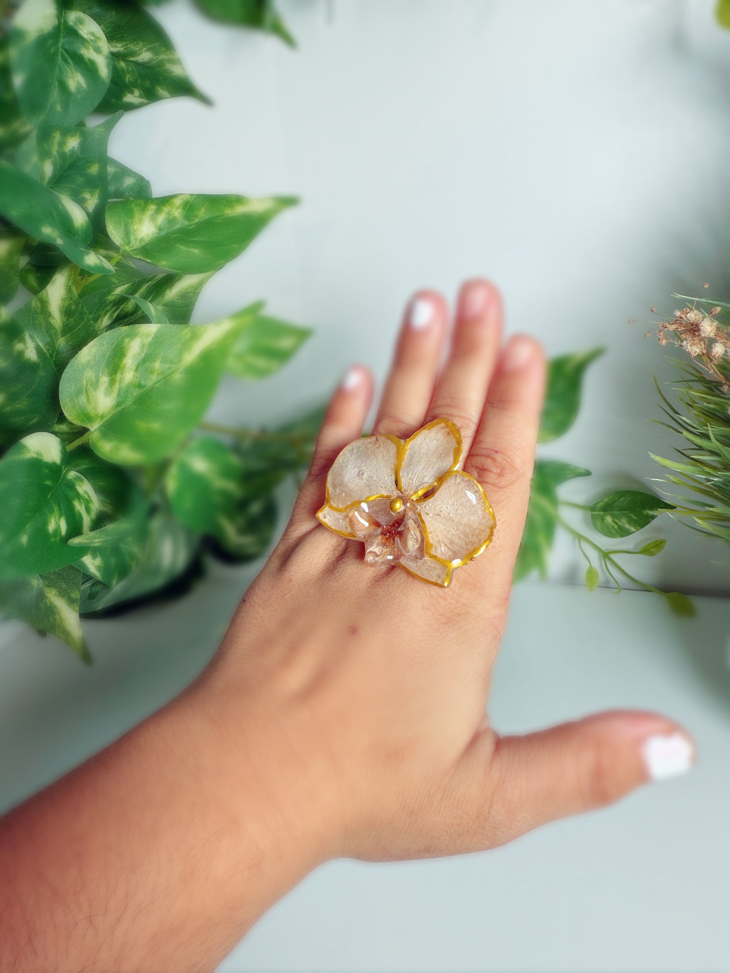 Phalaenopsis Orchid ring