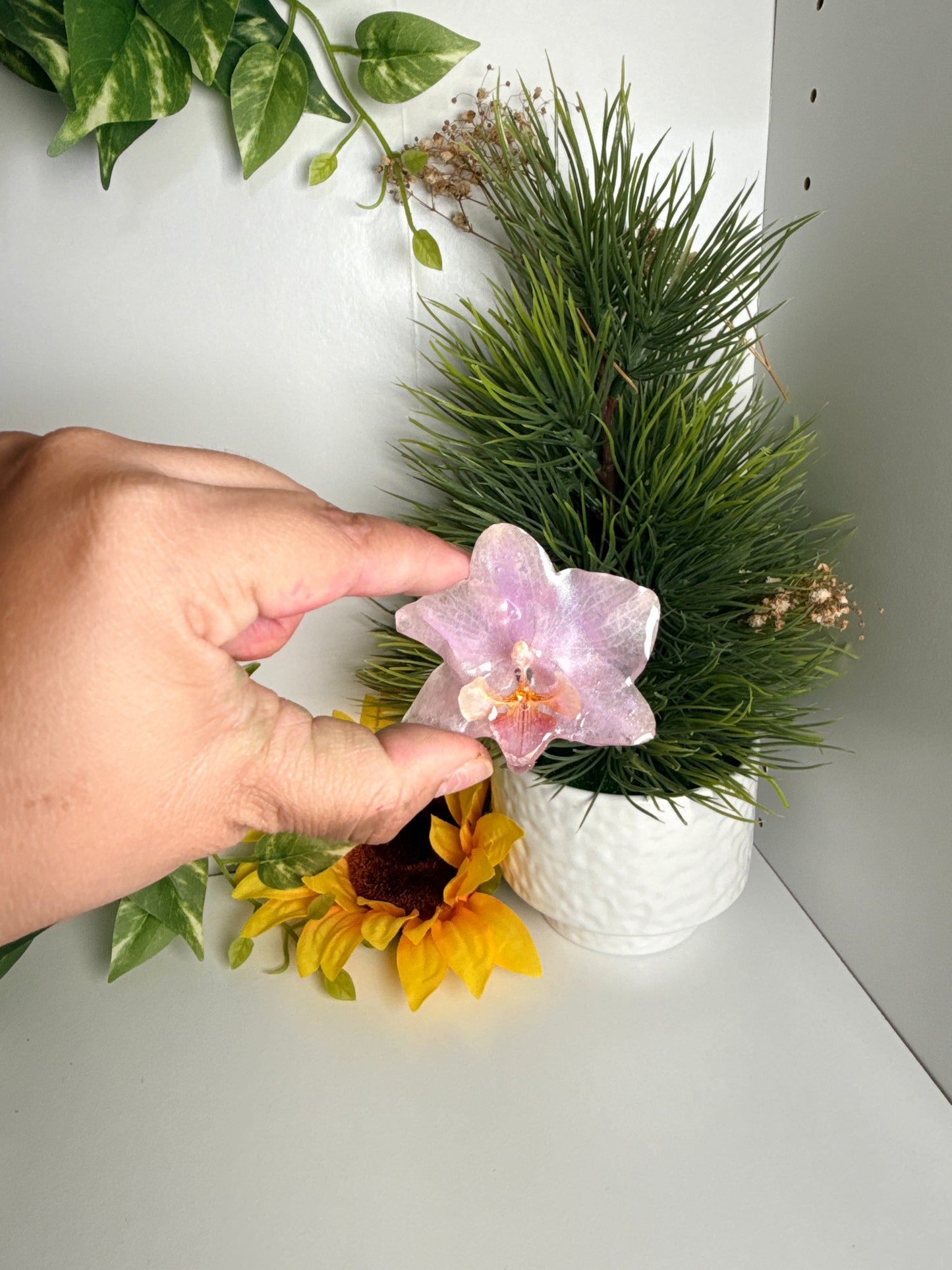 Prendedores(Orchid pins)