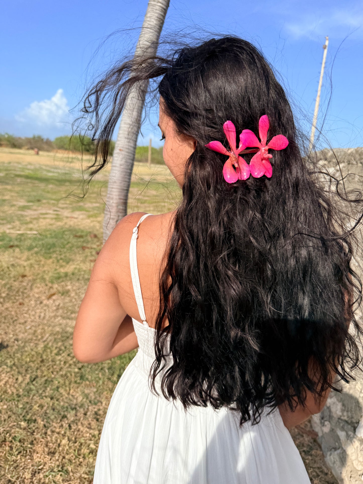 Double Vanda Orchid Hair Clip