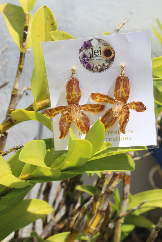 Grammatophyllum Orchid earings