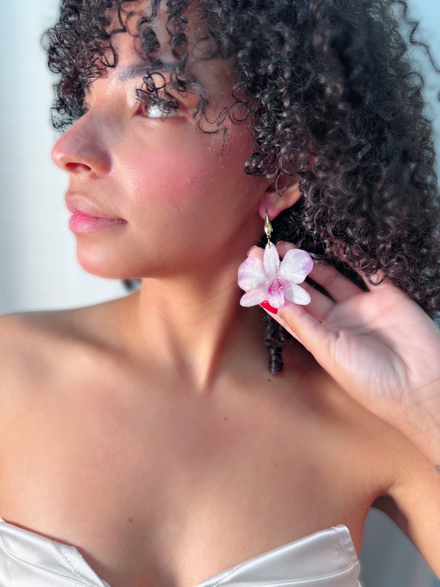 Dendrobium Orchid Purple line