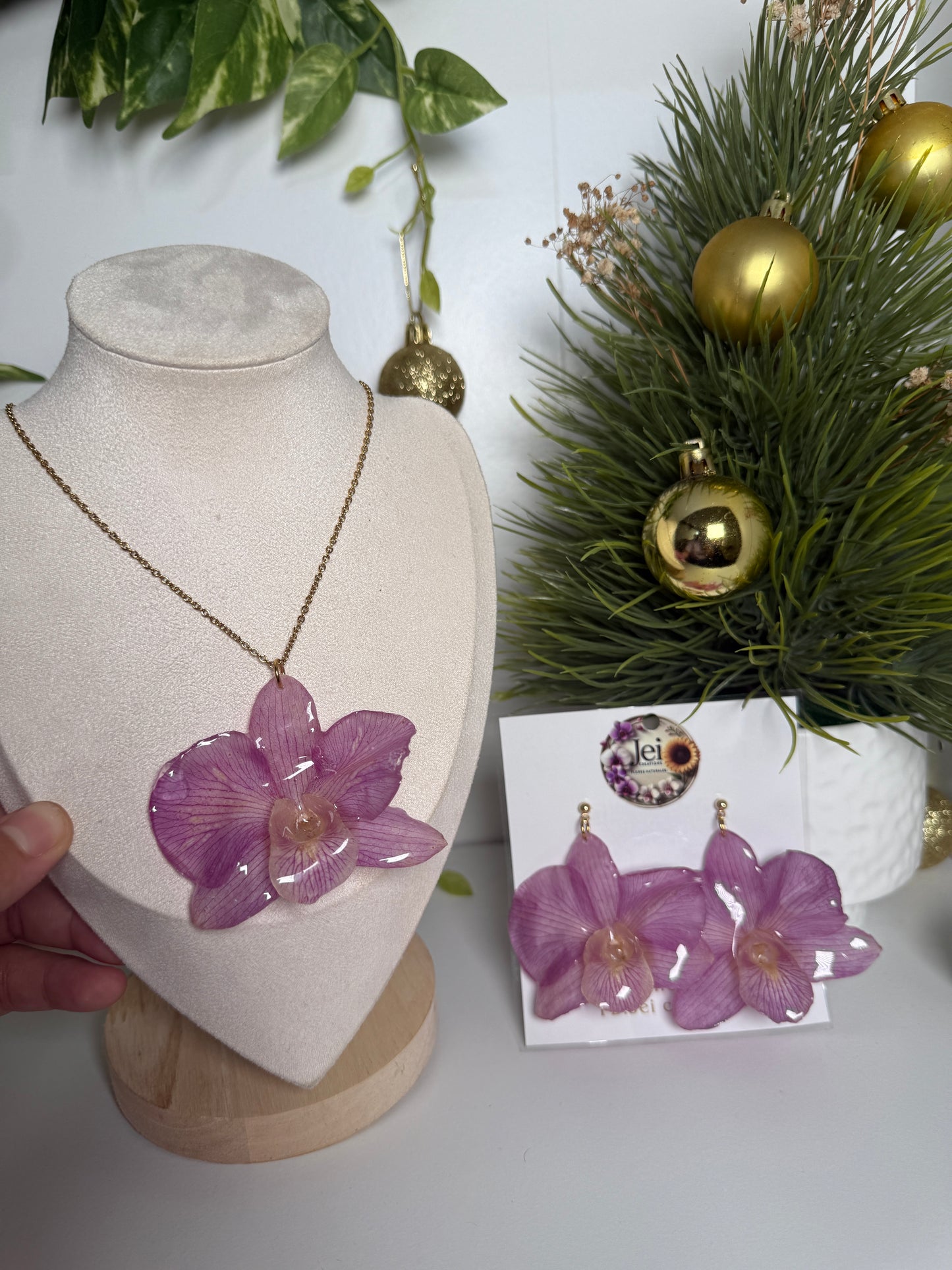 Big Dendrobium Orchid set