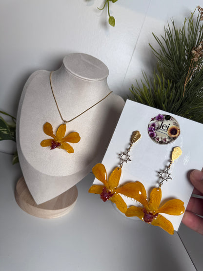 Fairy Dendrobium set