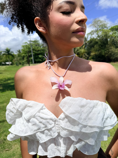 Dendrobium choker