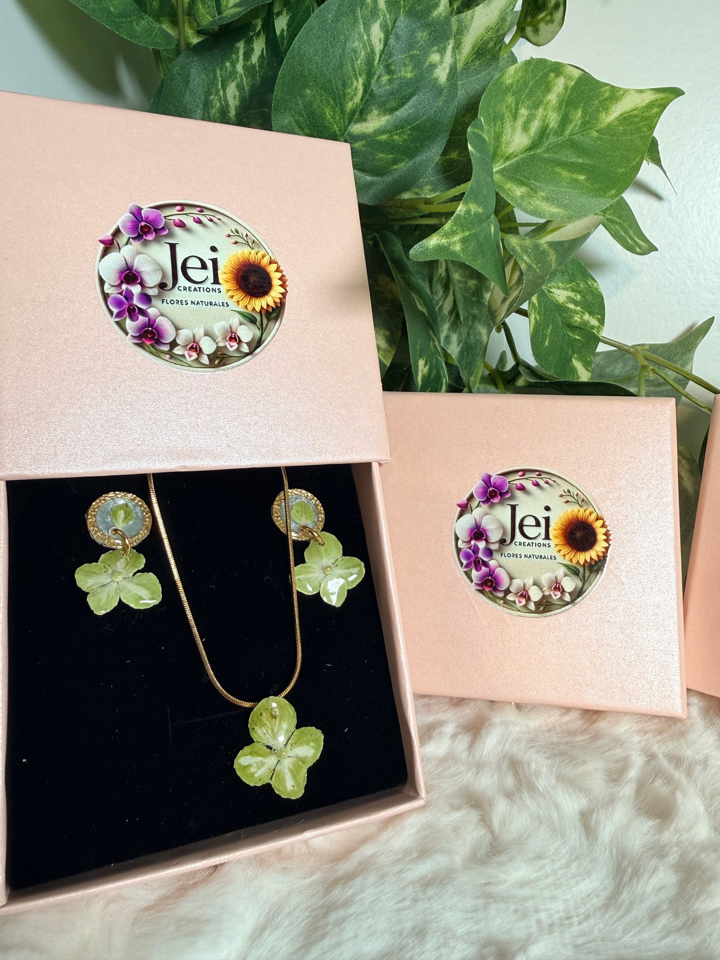 Mom’s Garden Bundle(Hortensia)