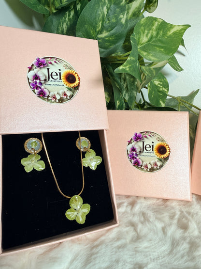 Mom’s Garden Bundle(Hortensia)