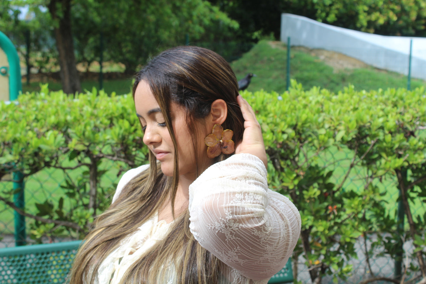 Big Orchid Vanda set