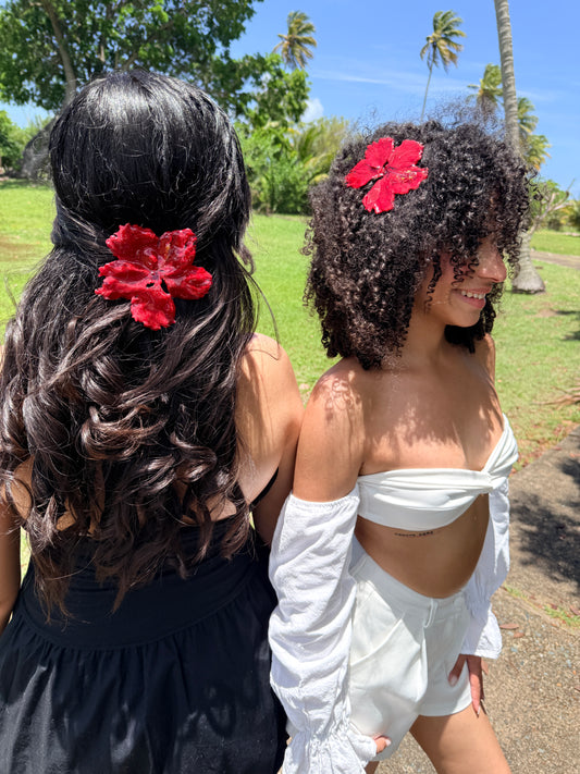 Amapola hair clip🌺 ( pre- venta-5-junio)