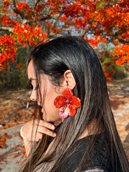 Flamboyant Blaze Stud Earrings
