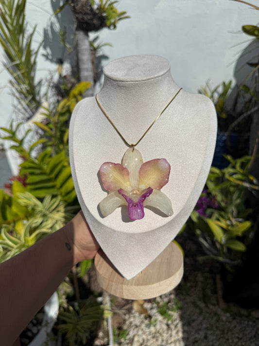 Color Dendrobium Orchid necklace