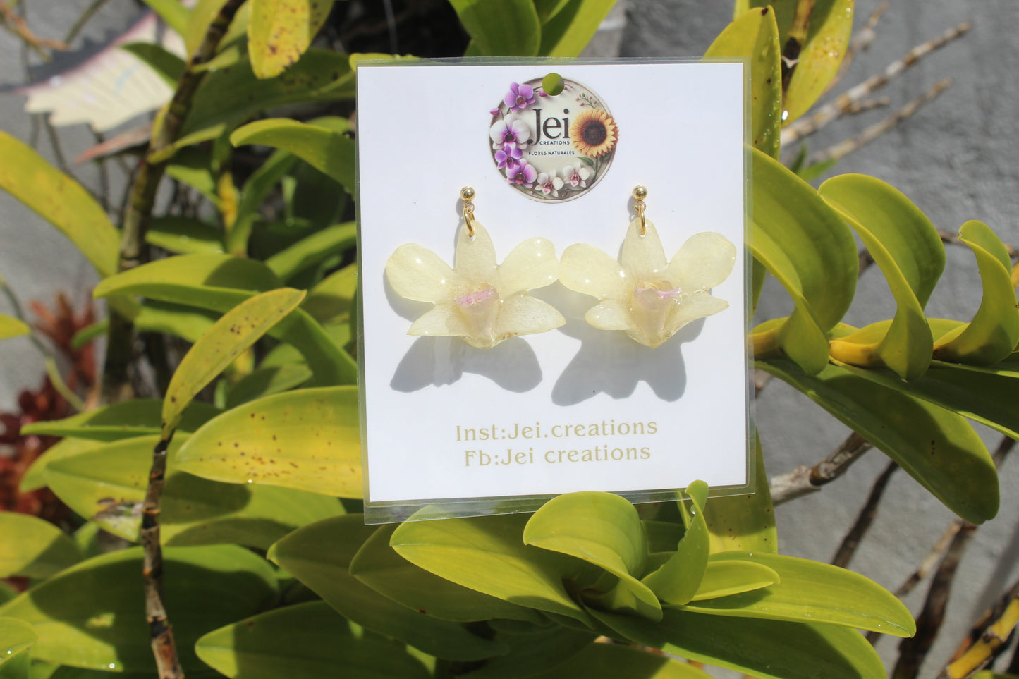 Baby Orchid earings