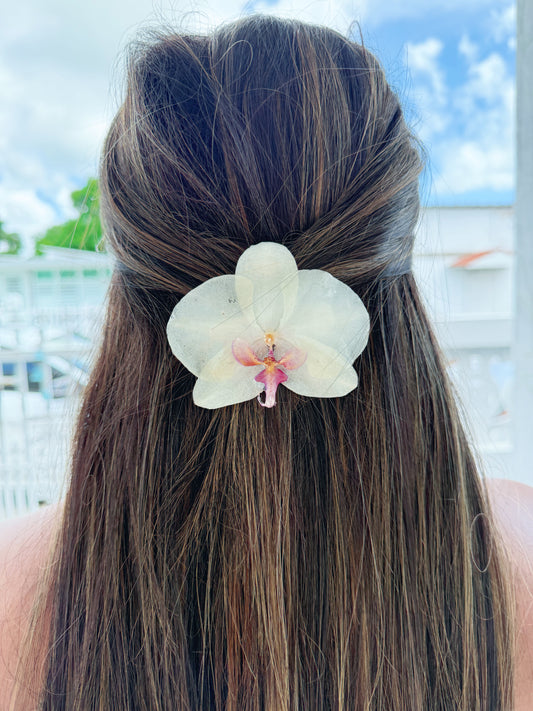 White Phalaenopsis Orchid Hair clip