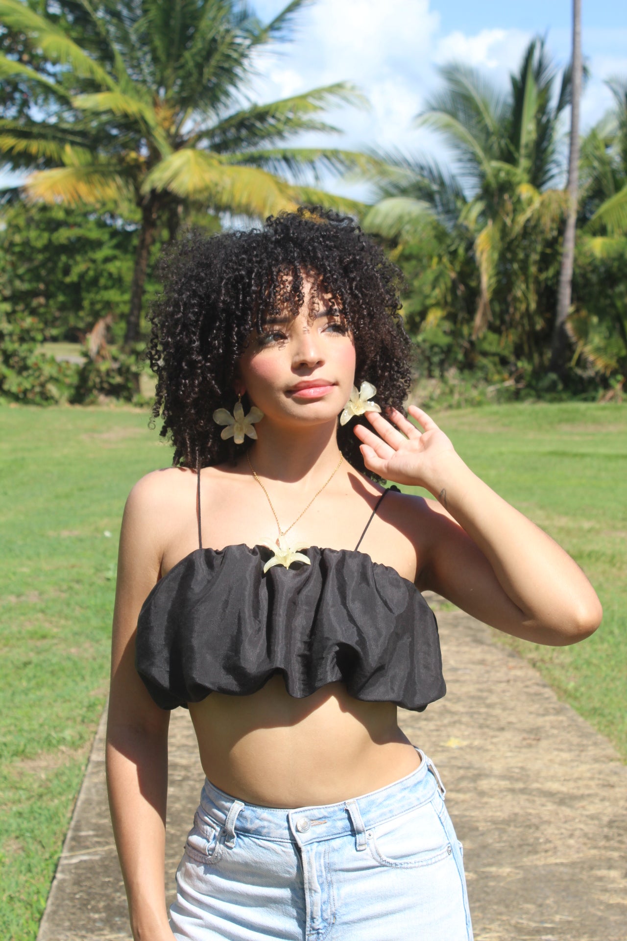 Orchid Holiday Bundle🎄