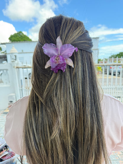 Cattleya Orchid Hair clip
