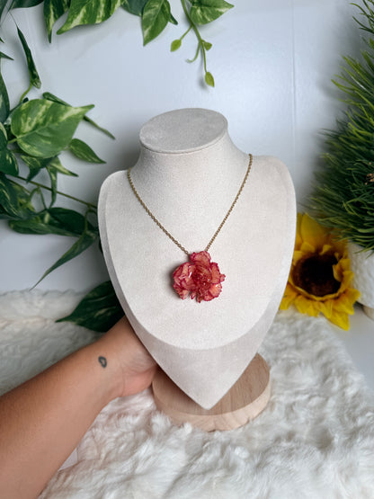 Crimson Carnation Set(clavel mini )
