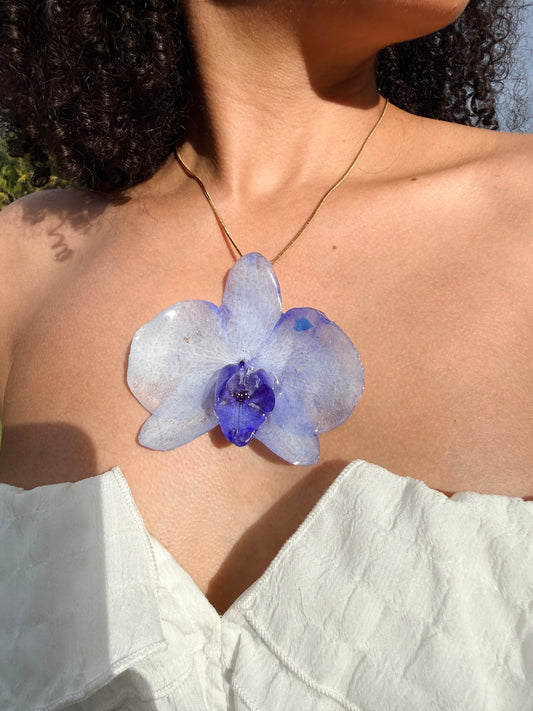 Midnight Blue Orchid for Mom(bundle)