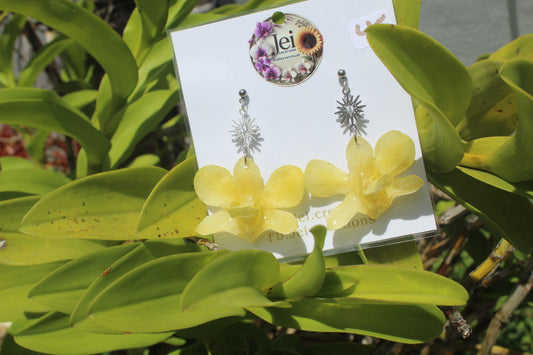 Yellow de Dendrobium earings