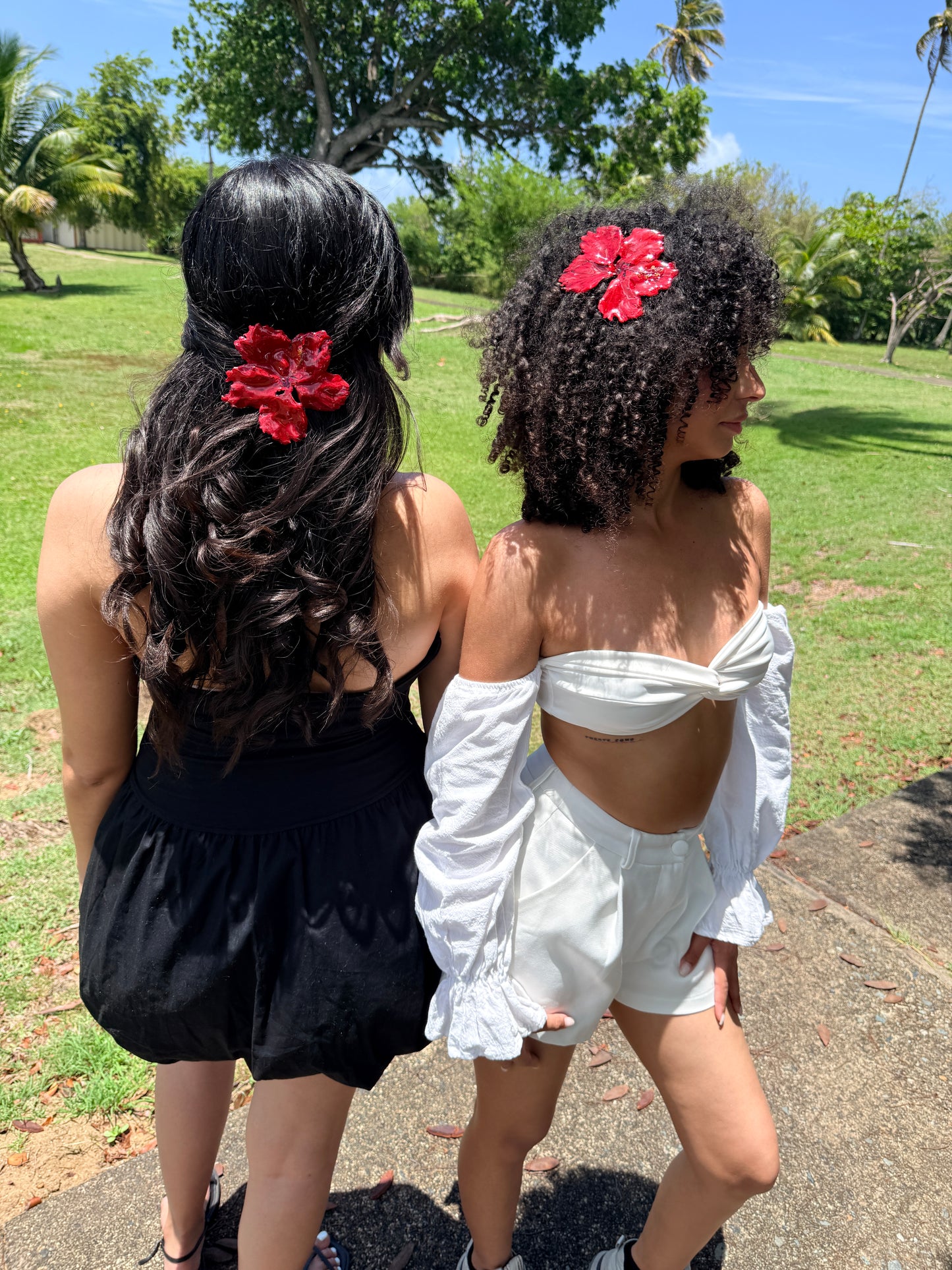 Amapola hair clip🌺 ( pre- venta-12-junio)
