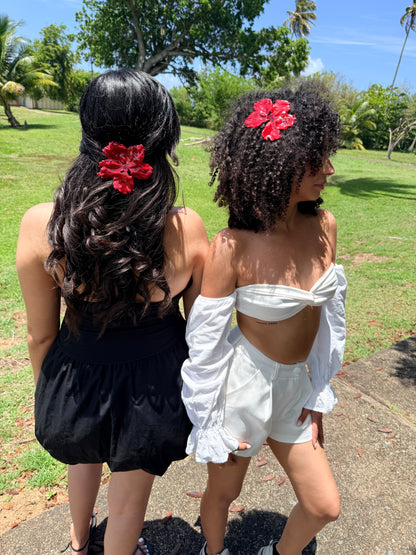 Amapola hair clip🌺 ( pre- venta-12-junio)