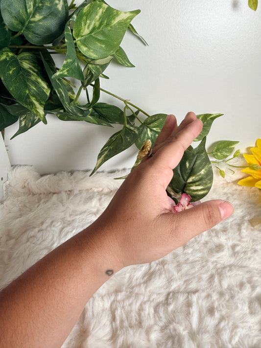 Golden Daisy extra Mini Ring