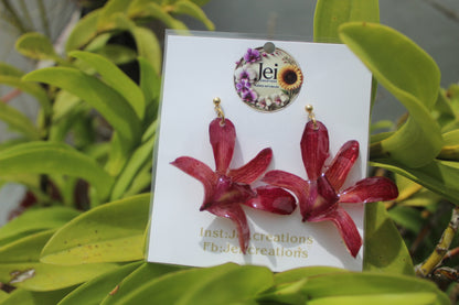 Vine Dendrobium Orchid earings