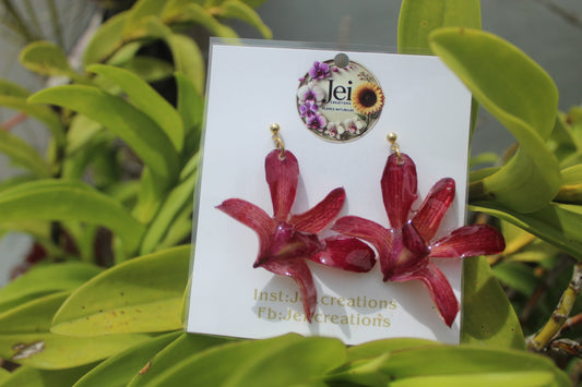 Vine Dendrobium Orchid earings