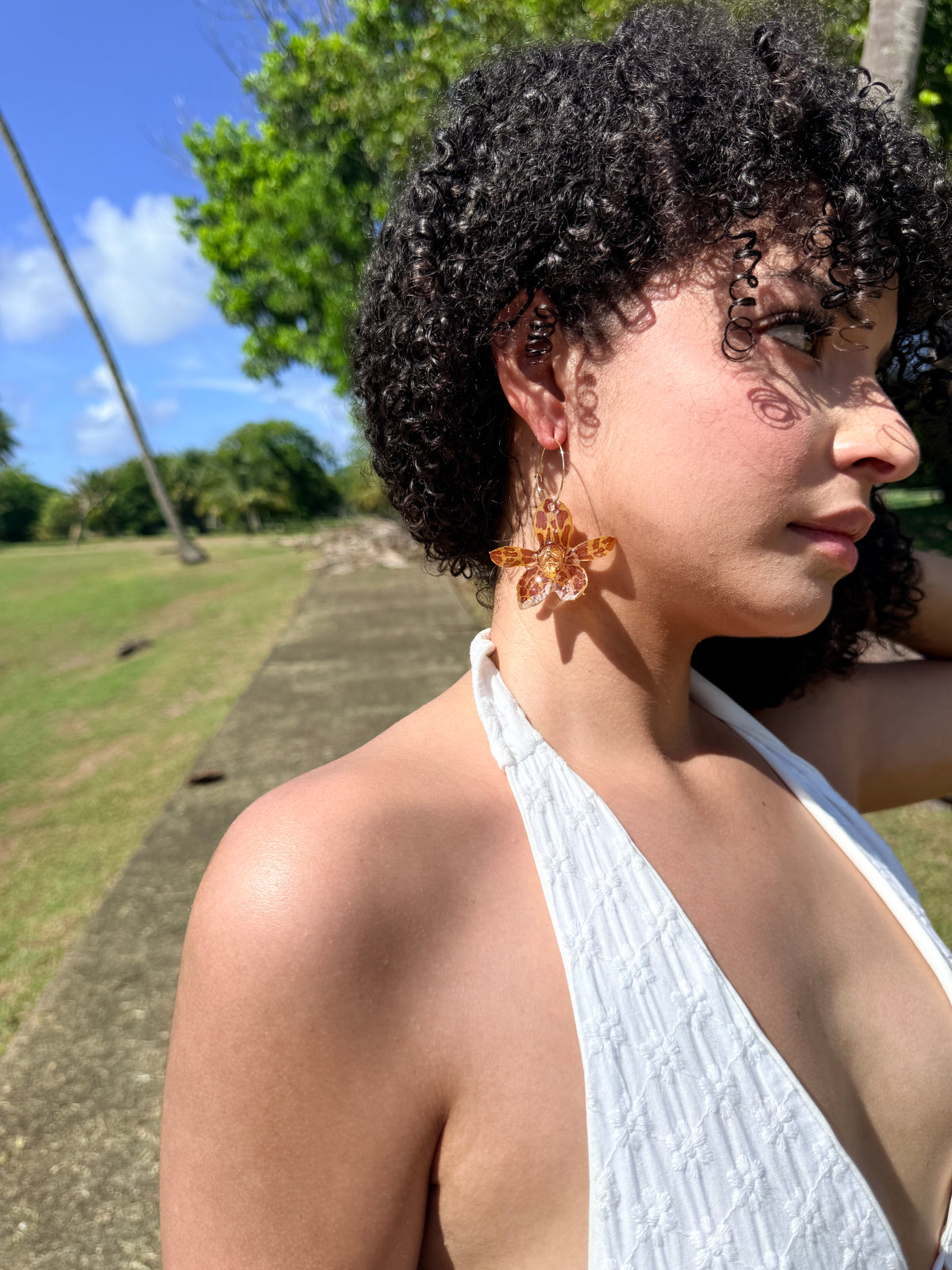 Golden Wild Grammatophyllum Earrings