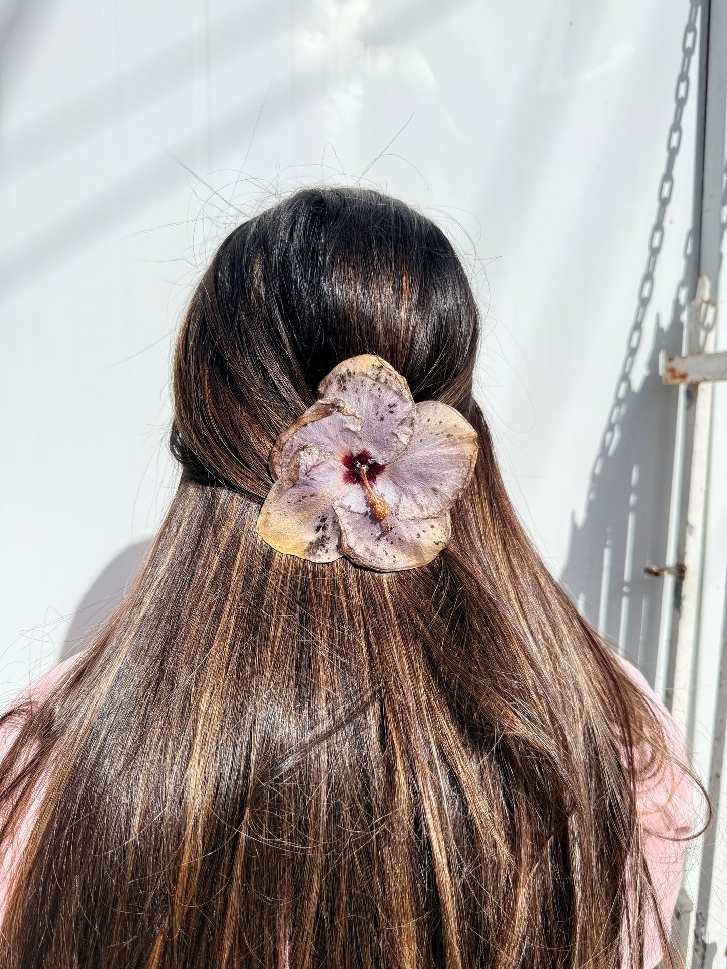 Exotic Hair Clip