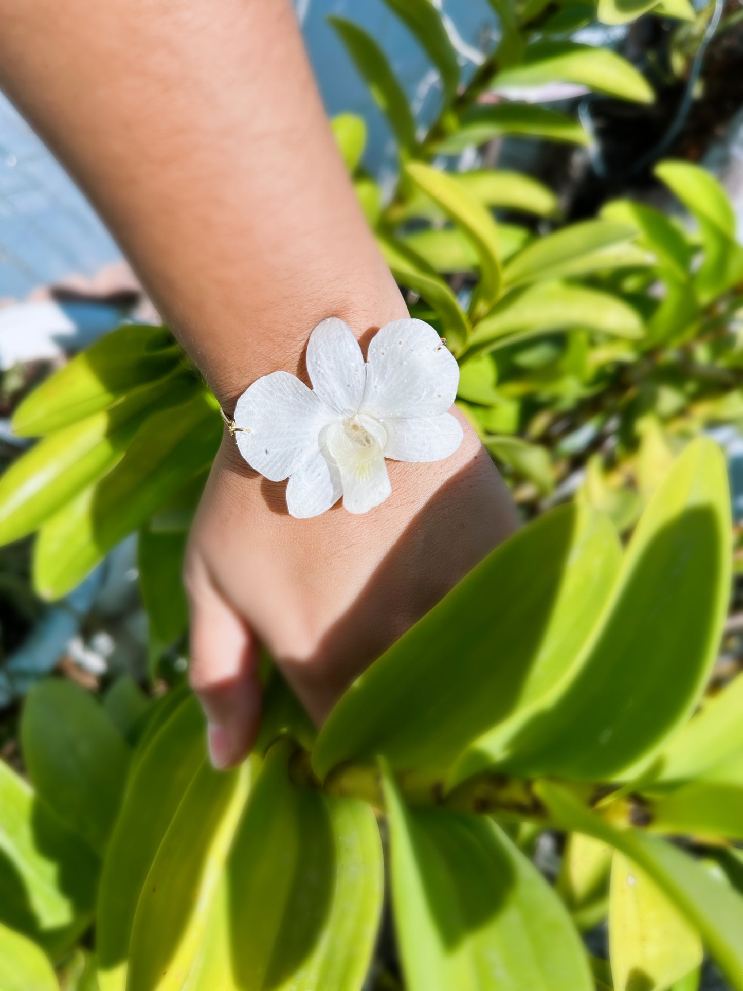 White Dendrobium orchid bracelet