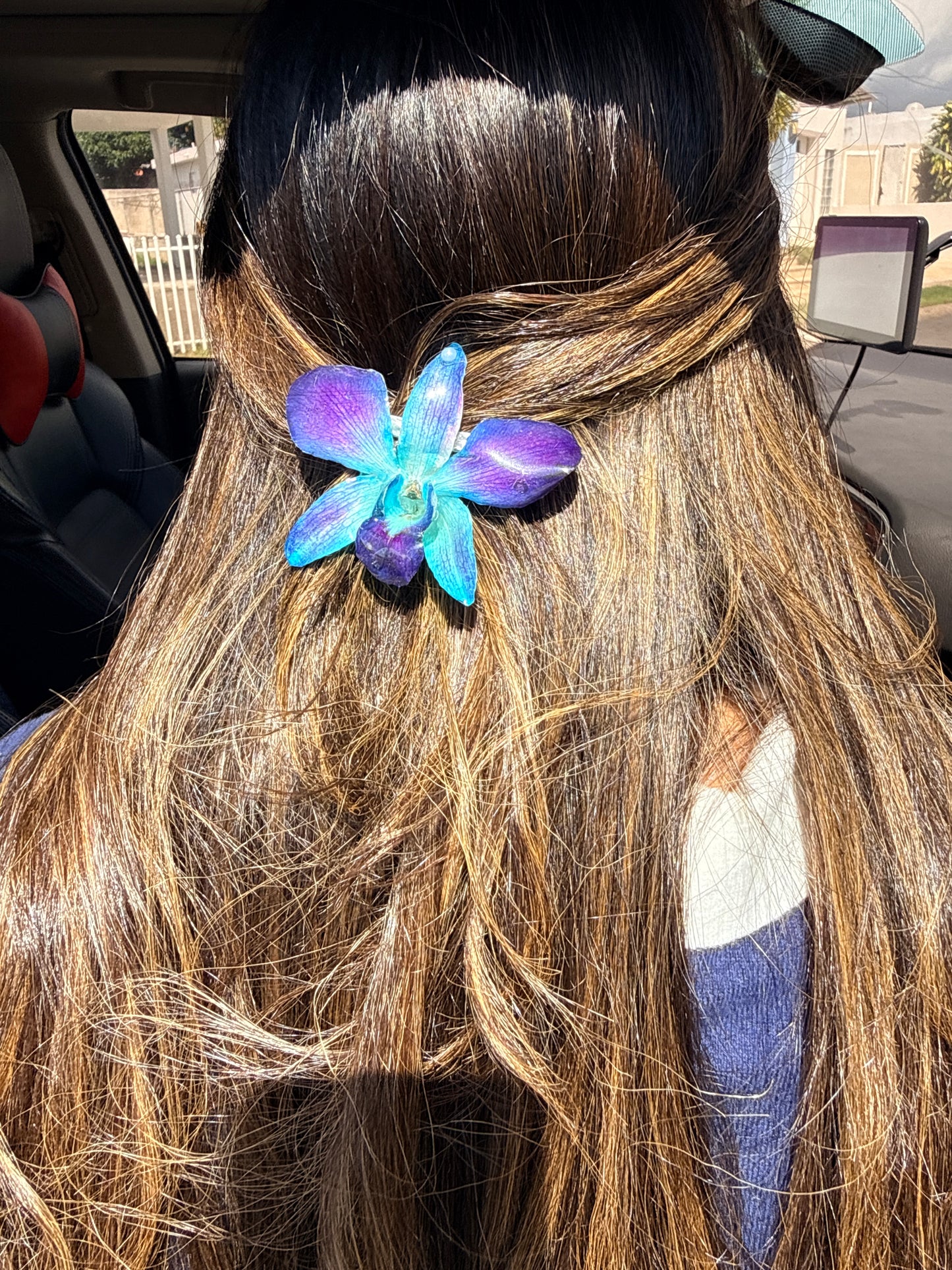 Blue Dendrobium Orchid Hair clip