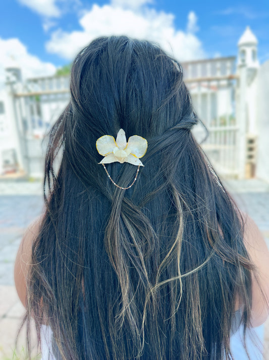 Dendrobium line Hair clip