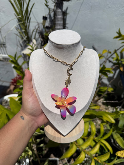 Colorfull Orchid Set