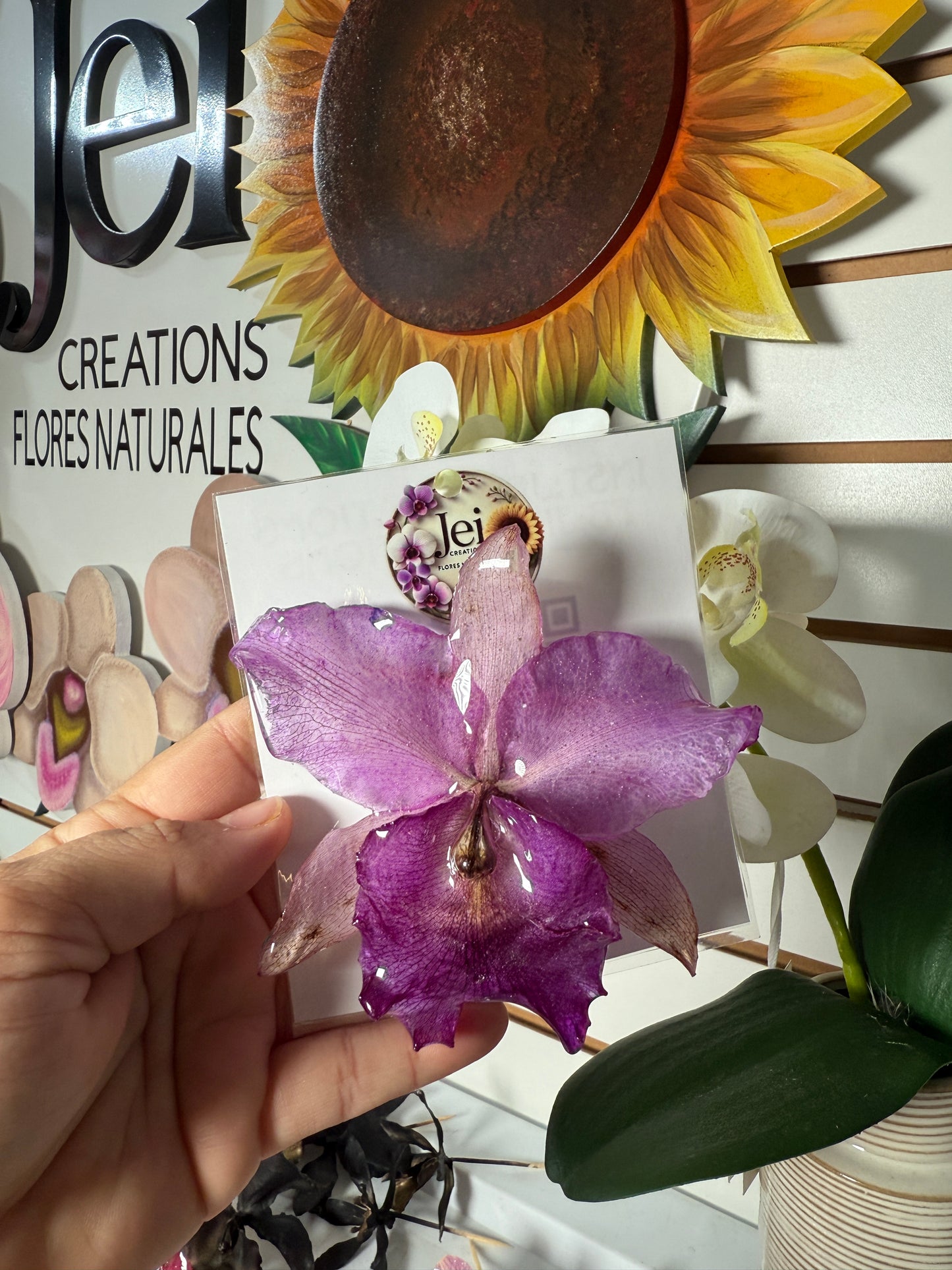 Cattleya Orchid Hair clip