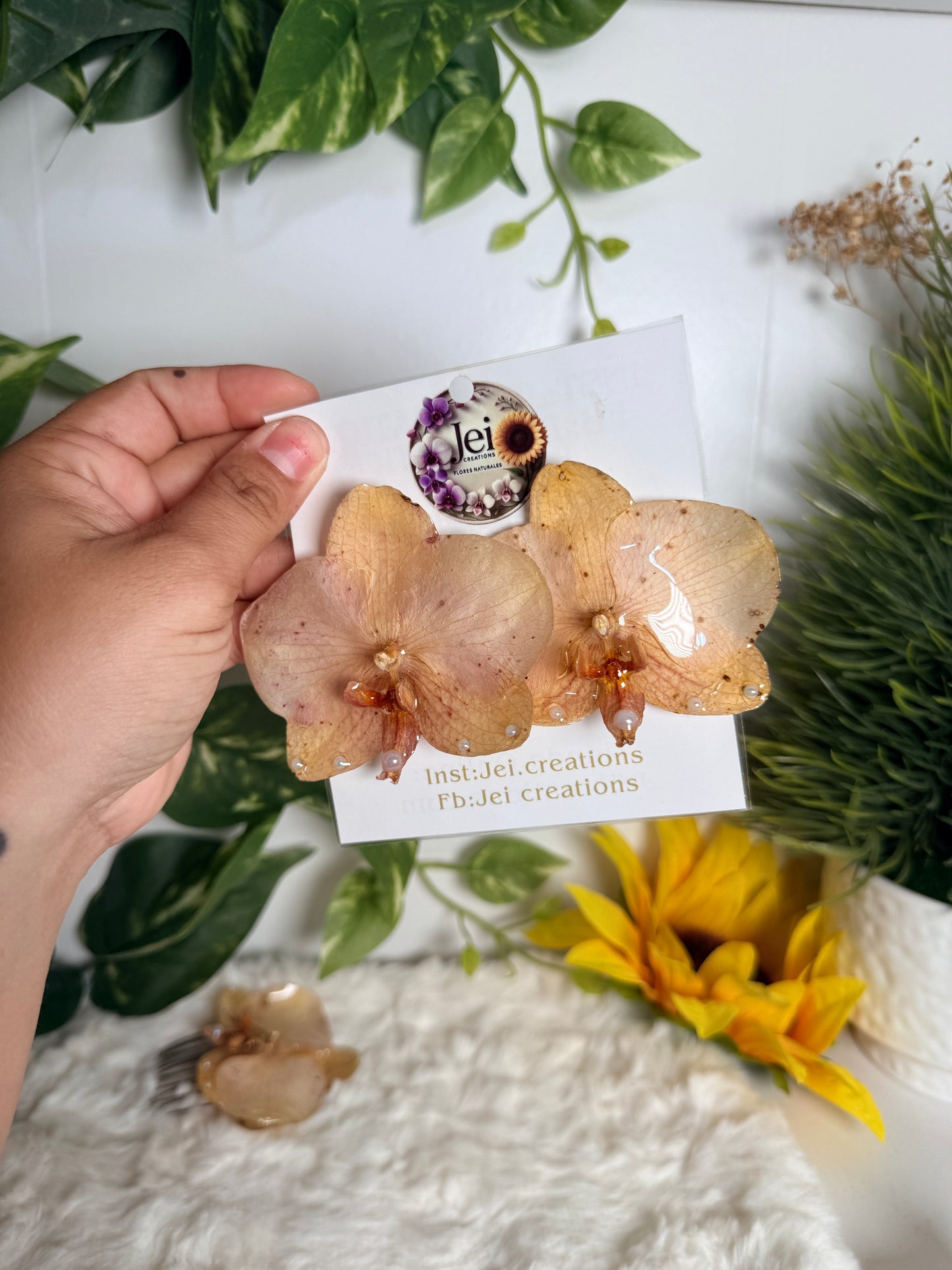 Golden Blush Orchid