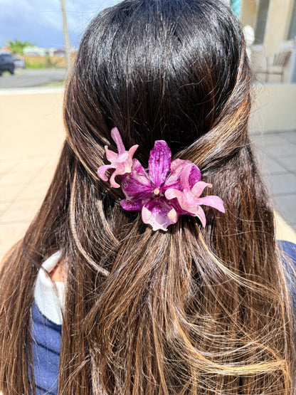 Pinche Orquídea Intensa