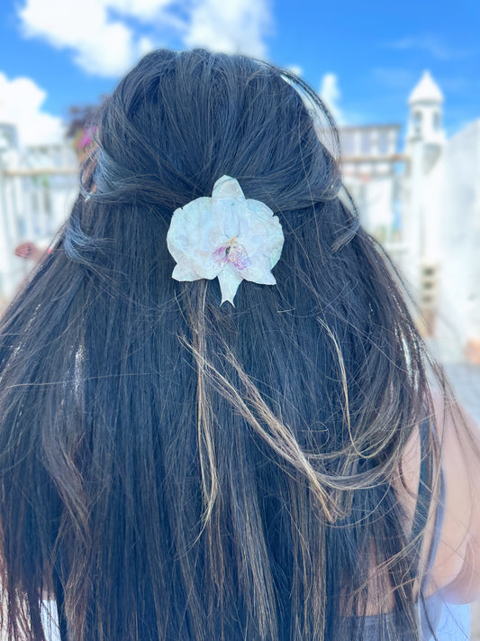 Phalaenopsis Orchid Hair clip