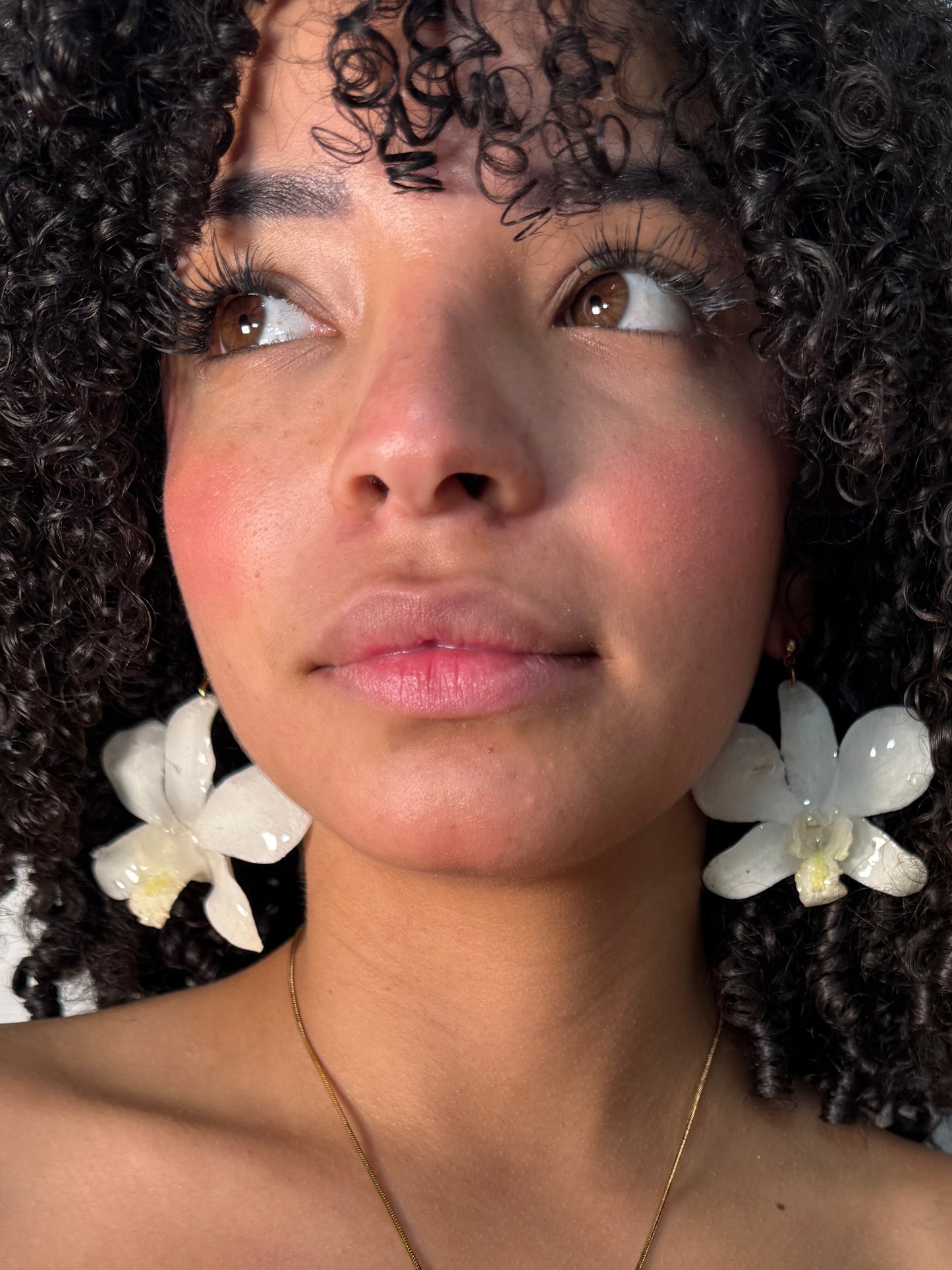 White Dendrobium Orchid