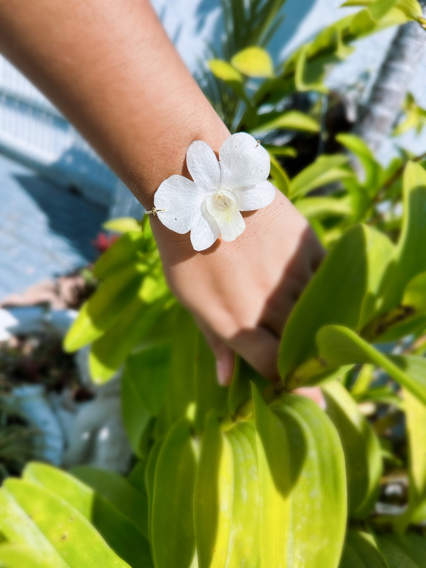 White Dendrobium orchid bracelet