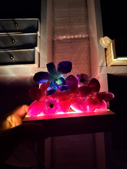 Vivid Bloom LED Display