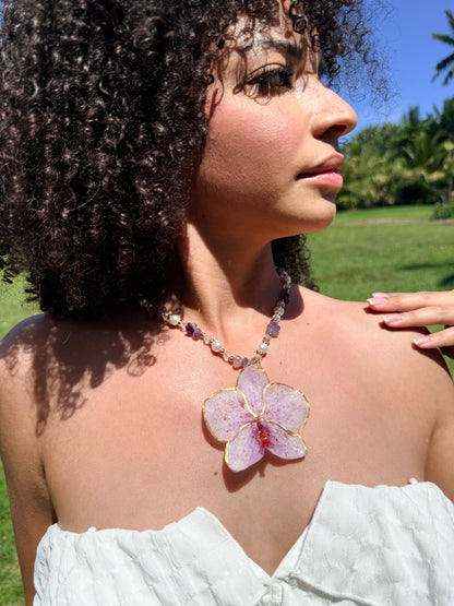 Phalaenopsis fairy purple necklace