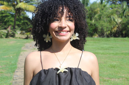 Orchid Holiday Bundle🎄