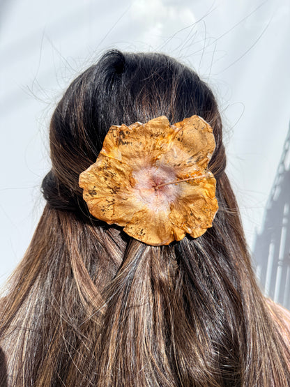 Exotic Hair Clip