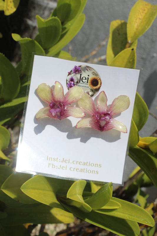 Dendrobium stud earings